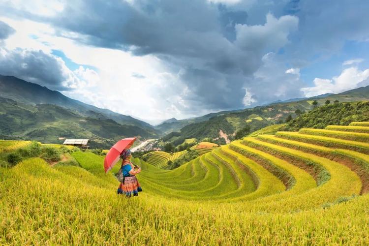 文旅部 教育部等:充分開發(fā)民間文化藝術(shù)研學(xué)游 - 中研在線·研學(xué)旅行