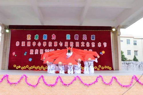 藝術(shù)魅力,炫我風(fēng)采 我校第七屆校園文化藝術(shù)節(jié)暨慶祝2020年元旦文藝匯演圓滿落幕