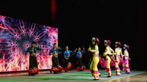 云南文化藝術(shù)代表團(tuán)約旦系列演出活動取得圓滿成功