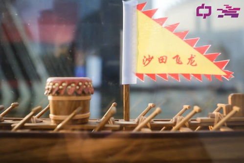 東莞新增一處文化藝術 打卡點 ,邂逅疍家 龍舟和莞草